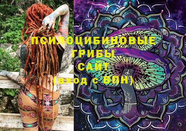 стафф Ладушкин