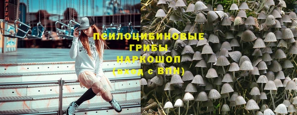 соль курить ск Лабытнанги