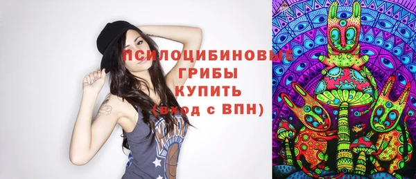 стафф Ладушкин
