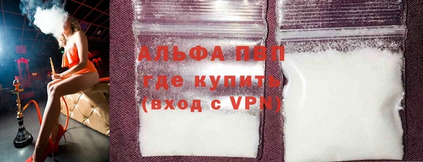 стафф Ладушкин