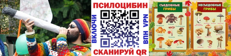 купить наркоту  Южно-Сахалинск  Псилоцибиновые грибы мухоморы 