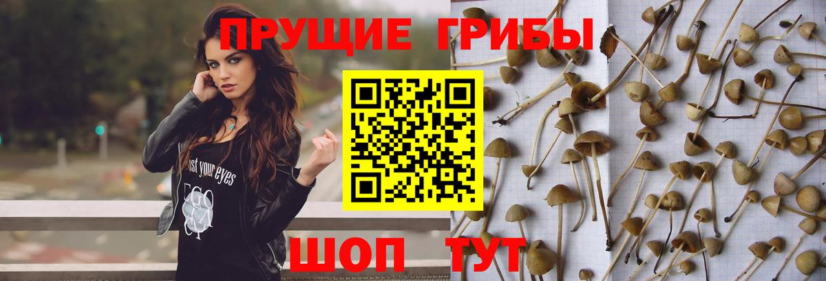 Галлюциногенные грибы прущие грибы  Вход с VPN  Южно-Сахалинск 